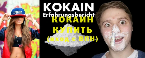 прущие грибы Вяземский