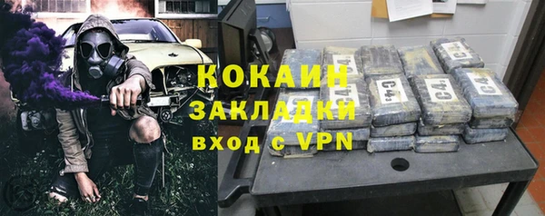 прущие грибы Вяземский