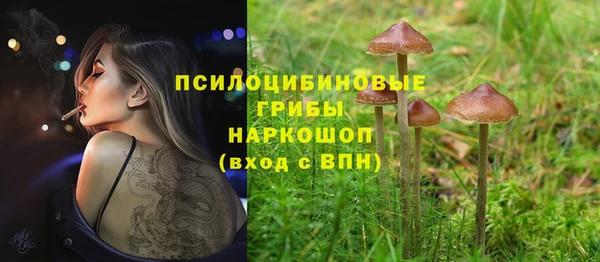 эйфоретик Вязьма