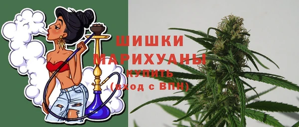 прущие грибы Вяземский