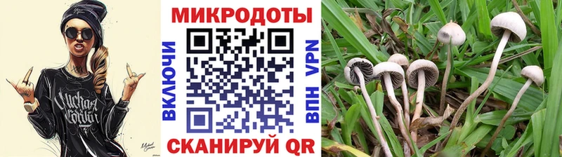 магазин продажи   Лысково  Галлюциногенные грибы Magic Shrooms 